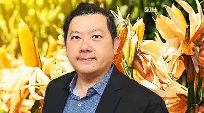 ข้าวโพดรุกป่า-เผาตอซัง “ไม่มีที่ยืน” โลกเรียกหาใบรับรองแหล่งที่มา