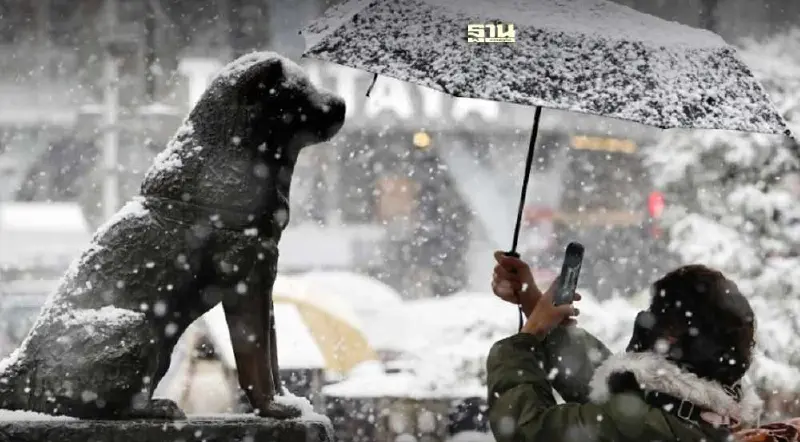 เตือนคนไทยระวังหิมะตกหนักในกรุงโตเกียว ยกเลิกแล้วหลายสิบเที่ยวบินวันนี้