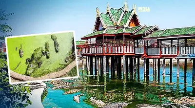 ฟาร์มจระเข้สมุทรปราการ เตรียมเปิดให้บริการ 1 เมษายน 2567