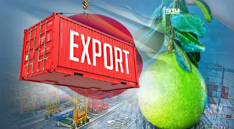 กระทรวงเกษตรฯ ดันตลาดส่งออกส้มโอ สานต่อความร่วมมือไทย-ญี่ปุ่น