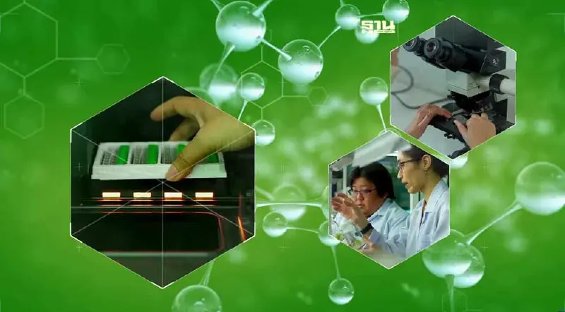 การปรับแต่งจีโนม หรือ Genome Editing หรือ จีอีดี (GEd) 