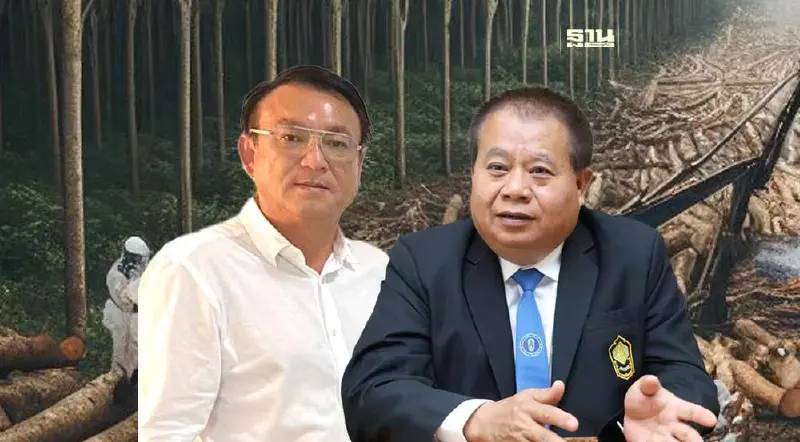 ล้มโค่นยาง 1.6 แสนไร่จัดแถวใหม่ ชาวสวนโวยถูกกั๊กสิทธิ์รอคิวนาน