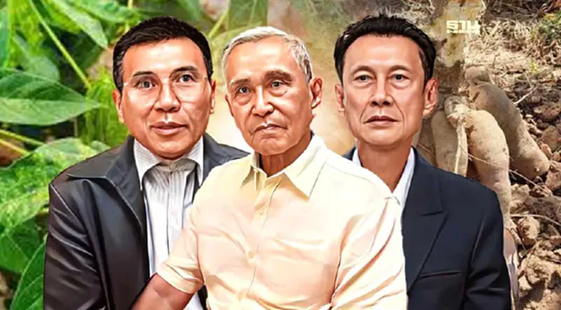 ผลผลิต “มันสำปะหลัง” วิกฤต โรงแป้งแห่ขายกิจการ สวนทางราคาพุ่งรอบ 7 ปี ผลผลิต “มันสำปะหลัง” วิกฤต โรงแป้งแห่ขายกิจการ สวนทางราคาพุ่งรอบ 7 ปี