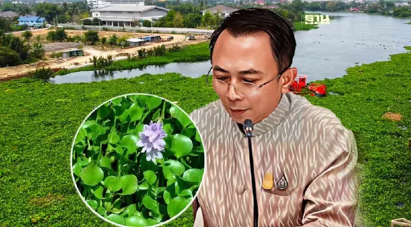 กรมโยธาฯ ตั้ง “สถานีดักผักตบชวา” บูรณาการแก้ปัญหาเร่งด่วน