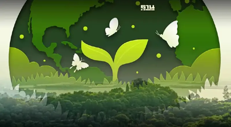 21 มีนาคม วันป่าไม้โลก World Forestry Day ประวัติและความเป็นมา 21 มีนาคม วันป่าไม้โลก World Forestry Day ประวัติและความเป็นมา