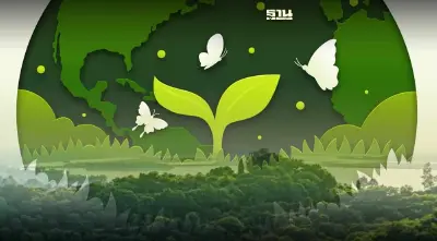 21 มีนาคม วันป่าไม้โลก World Forestry Day ประวัติและความเป็นมา