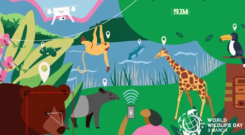 3 มีนาคม วันสัตว์ป่าและพืชป่าโลก (World Wildlife Day) ประวัติและความสำคัญ 3 มีนาคม วันสัตว์ป่าและพืชป่าโลก (World Wildlife Day) ประวัติและความสำคัญ