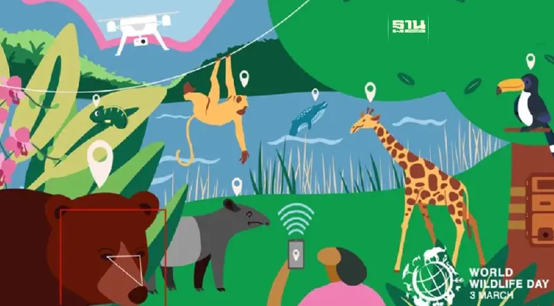 3 มีนาคม วันสัตว์ป่าและพืชป่าโลก (World Wildlife Day) ประวัติและความสำคัญ