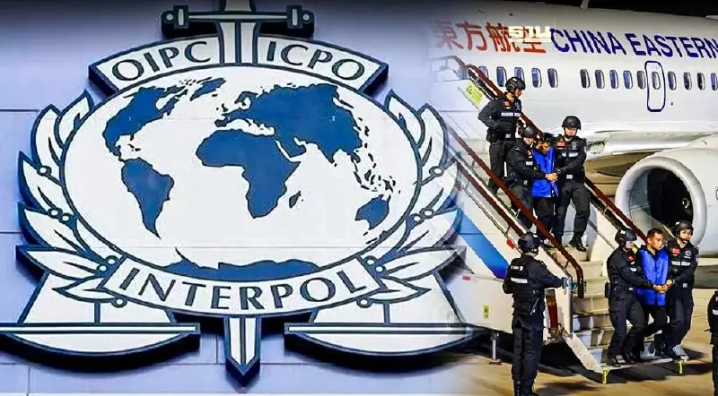 ตำรวจสากล กางข้อมูล "แก๊งค้ามนุษย์" ในอาเซียน ป่วนโลกขั้นวิกฤต