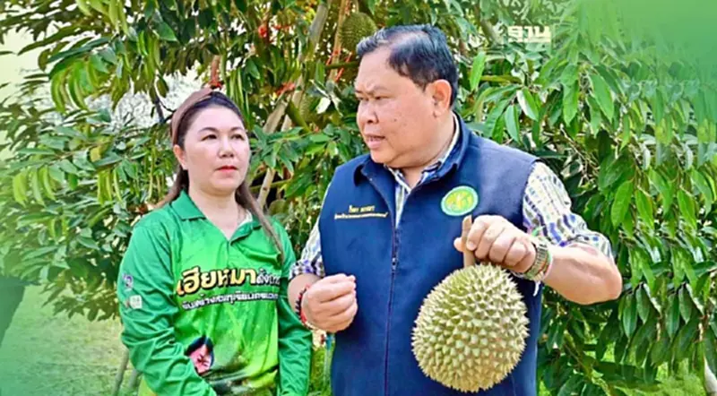 ทุเรียน-ลำใย คึกคัก ดันจันทบุรีโมเดล ส่งผลไม้คุณภาพ สร้างรายได้เกษตรกร ทุเรียน-ลำใย คึกคัก ดันจันทบุรีโมเดล ส่งผลไม้คุณภาพ สร้างรายได้เกษตรกร
