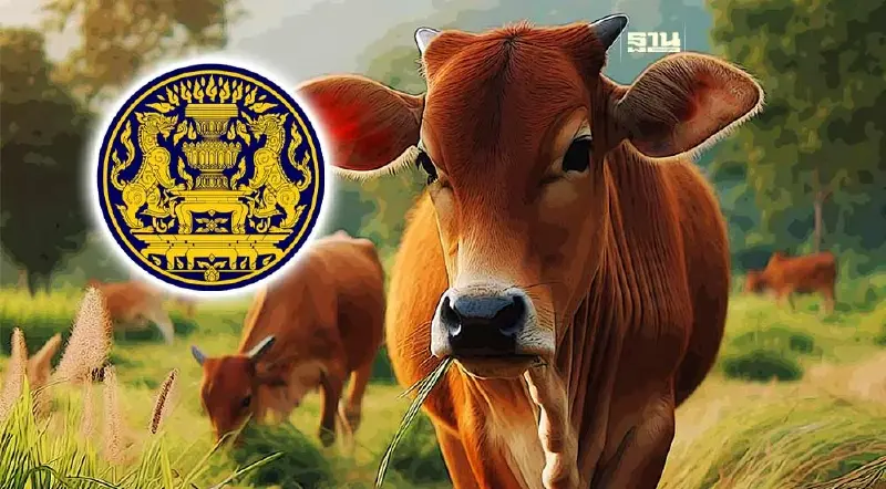 ครม.เคาะ “โคแสนล้าน” จัดสินเชื่อ 5,000 ล้าน ปล่อยกู้สมาชิกกองทุนหมู่บ้าน