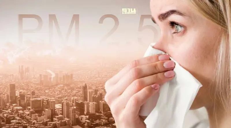 วิธีล้างจมูก กำจัดเชื้อโรคหลังค่าฝุ่น PM 2.5  ปกคลุมทุกพื้นที่