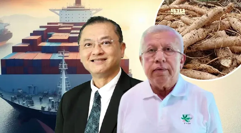 อุตฯ “มันสำปะหลัง” ระสํ่า คาดผลผลิตต่ำ 19 ล้านตัน จับตาส่งออกวูบหนัก