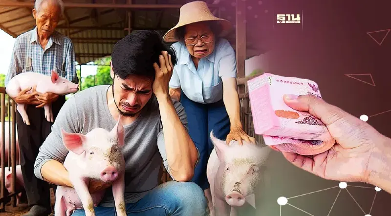 ราคาหมูหน้าฟาร์ม หด 10.2% กระทบรายได้เกษตรกร