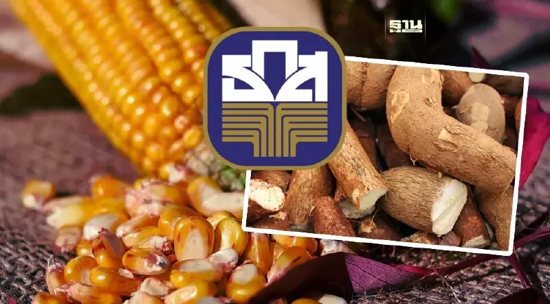 สินเชื่อรักษาเสถียรภาพ “ข้าวโพด-มันสำปะหลัง” ปี 66/67 ธ.ก.ส.ให้กู้แล้ว