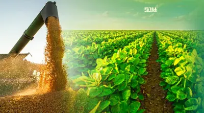 สมาคมอาหารสัตว์ฯ ลงนามสภาฯถั่วเหลืองมะกัน  ดันวัตถุดิบยั่งยืน