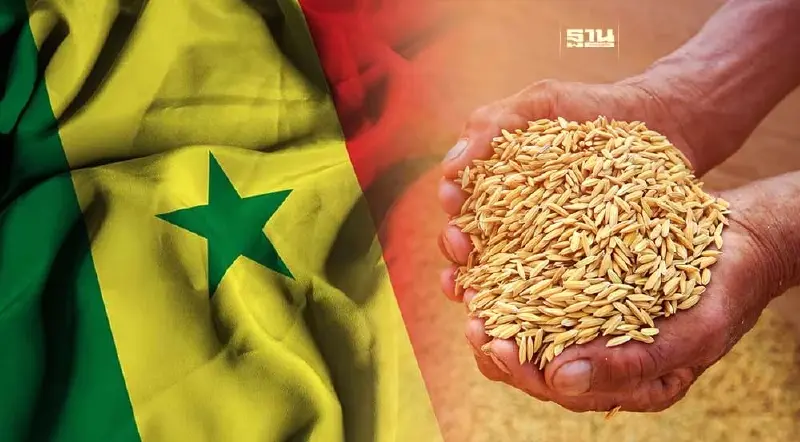 “เซเนกัล” ติดใจข้าวไทย เผยปี67 ม.ค.-ก.พ. ส่งออกแล้ว 60,000 ตัน “เซเนกัล” ติดใจข้าวไทย เผยปี67 ม.ค.-ก.พ. ส่งออกแล้ว 60,000 ตัน