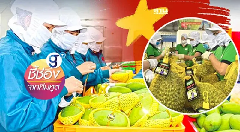ส่องยุทธศาสตร์เวียดนาม พัฒนาสินค้าเกษตร-โลจิสติกส์ ยกระดับสู่เวิลด์คลาส ส่องยุทธศาสตร์เวียดนาม พัฒนาสินค้าเกษตร-โลจิสติกส์ ยกระดับสู่เวิลด์คลาส
