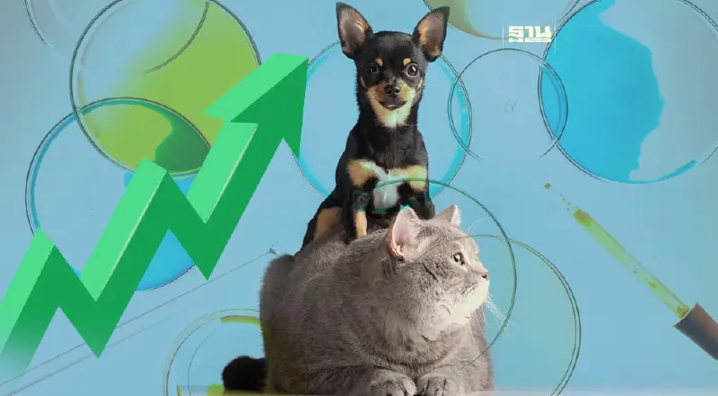 เทรนด์ Petriarchy หนุนมูลค่าตลาดสัตว์เลี้ยงปี 67 คาดโต 7.5 หมื่นล้าน