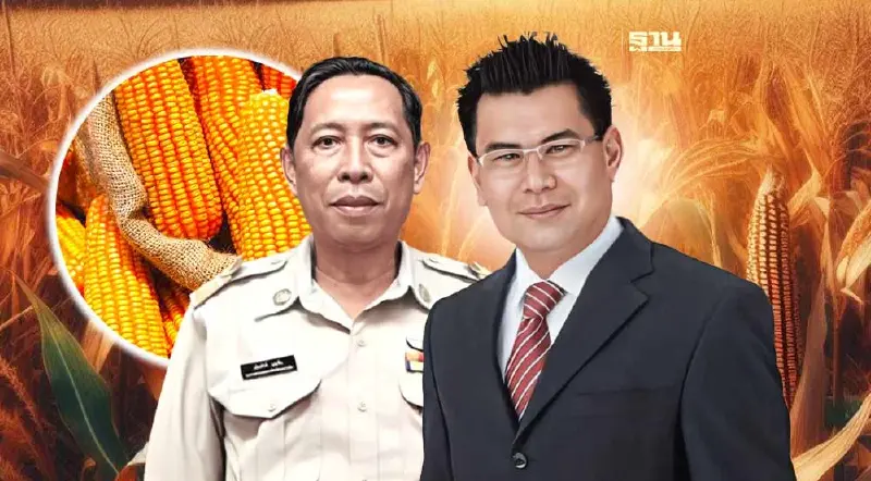 จัดระเบียบข้าวโพดอาหารสัตว์วุ่น เกษตรกรขอโรงงานซื้อทุกเมล็ด ไม่ตํ่า 9 บาท