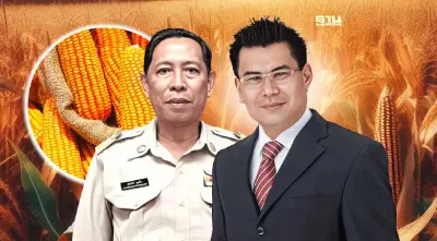 จัดระเบียบข้าวโพดอาหารสัตว์วุ่น เกษตรกรขอโรงงานซื้อทุกเมล็ด ไม่ตํ่า 9 บาท