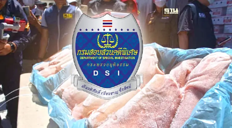 DSI ส่งสำนวนคดีหมูเถื่อนให้ ป.ป.ช. หลังพบ จนท.รัฐเกี่ยวข้อง DSI ส่งสำนวนคดีหมูเถื่อนให้ ป.ป.ช. หลังพบ จนท.รัฐเกี่ยวข้อง