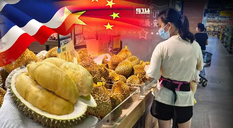 "ทุเรียนไทย" คว้าใจผู้บริโภคจีน ท่ามกลางการแข่งขันทุเรียนจากเวียดนาม
