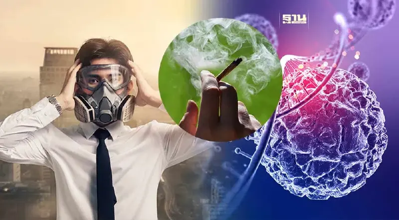 คาดทั่วโลกป่วยมะเร็งทะลุ 35 ล้านคน ในปี 2593 จาก “บุหรี่-มลพิษทางอากาศ”