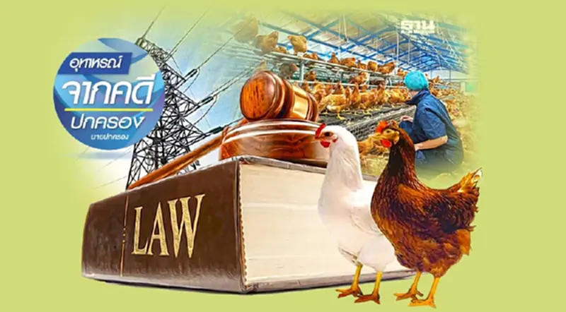 ‘ไก่ตาย’ เพราะงดจ่ายไฟ โดยไม่แจ้งล่วงหน้า ฟ้องเรียกค่าเสียหายที่ศาลใด? ‘ไก่ตาย’ เพราะงดจ่ายไฟ โดยไม่แจ้งล่วงหน้า ฟ้องเรียกค่าเสียหายที่ศาลใด?