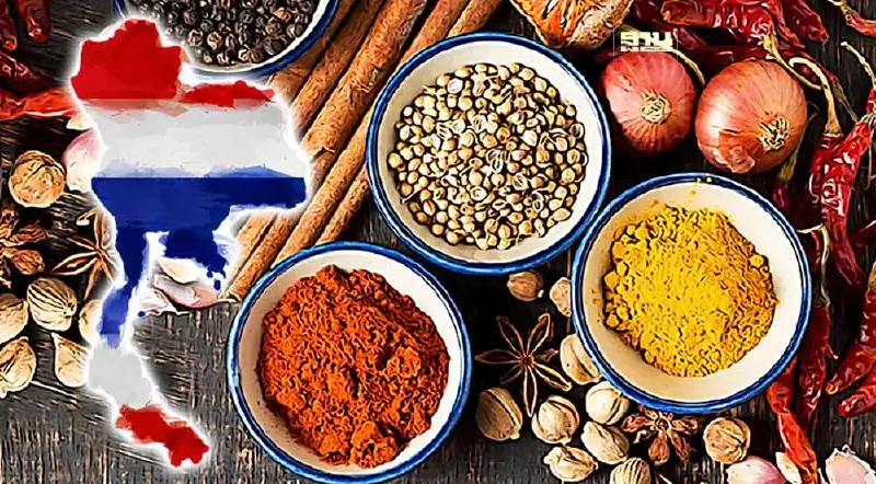 เปิด 57 รายชื่อสมุนไพรหายากอัตลักษณ์ประจำจังหวัด