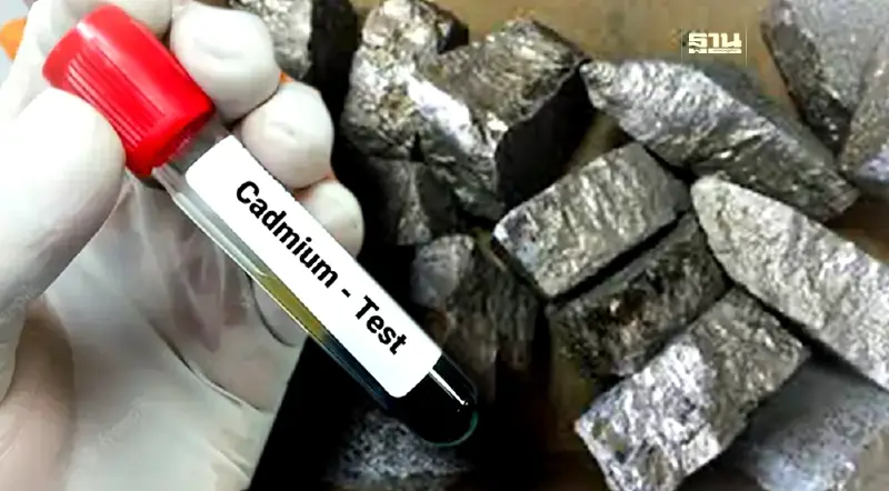 สธ. เผย พบ "แคดเมียมในเลือด" แรงงานสมุทรสาคร 4 ราย สธ. เผย พบ "แคดเมียมในเลือด" แรงงานสมุทรสาคร 4 ราย