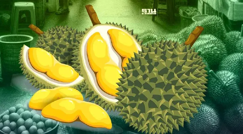 ราคาทุเรียน วันที่ 14 เมษายน 2567 ตลาดสี่มุมเมืองขายสูงสุดกิโลละ 320 บาท