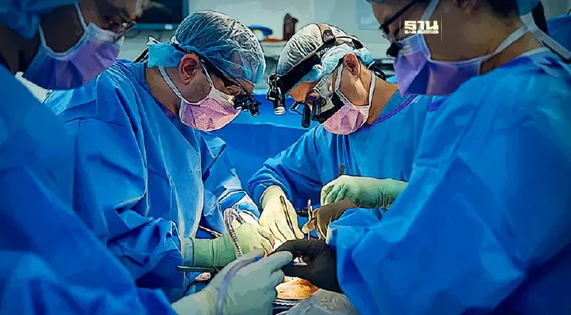 แพทย์อเมริกันใช้การปลูกถ่ายชิ้นส่วนสัตว์ ตอบโจทย์ปัญหาการขาดแคลนอวัยวะ