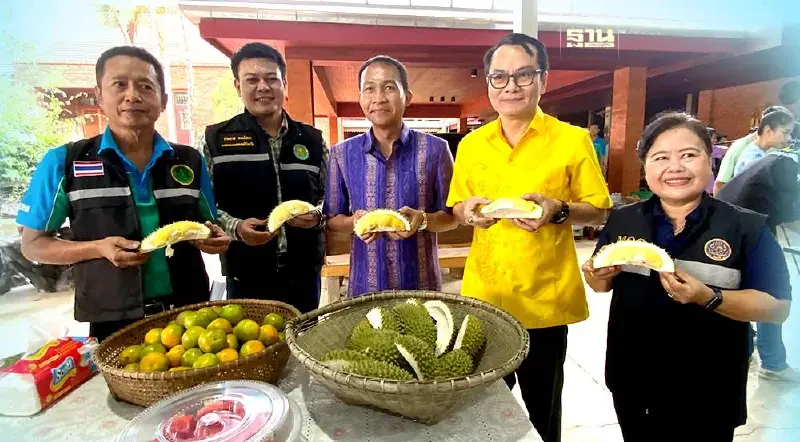 ทุเรียนตราดราคาพุ่ง ทะลุ 270 บาท ตรวจเข้มคุณภาพล้งส่งออก