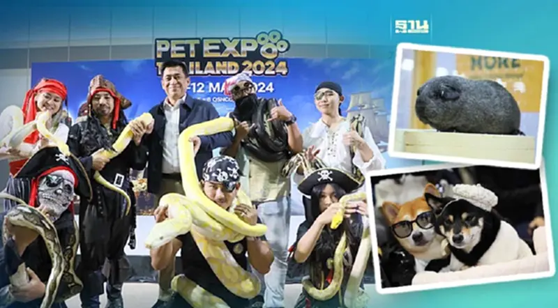 เอ็น.ซี.ซี รับเทรนด์ Pet Humanization มาแรง จัดงาน PET EXPO 2024 เอ็น.ซี.ซี รับเทรนด์ Pet Humanization มาแรง จัดงาน PET EXPO 2024