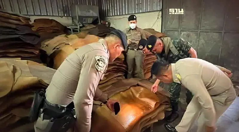 คุมเข้มชายแดนระนอง สกัดลอบขนยางพาราเถื่อน