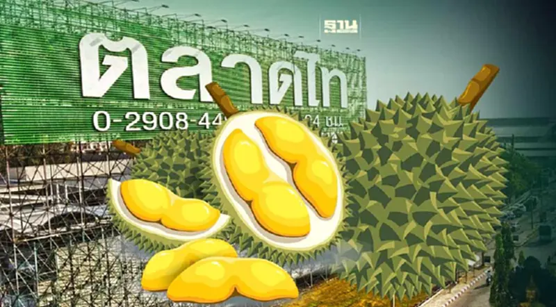 ราคาทุเรียนวันนี้ 18 เมษายน 2567 ตลาดไทขายกิโลละเท่าไหร่ เช็กเลย ราคาทุเรียนวันนี้ 18 เมษายน 2567 ตลาดไทขายกิโลละเท่าไหร่ เช็กเลย