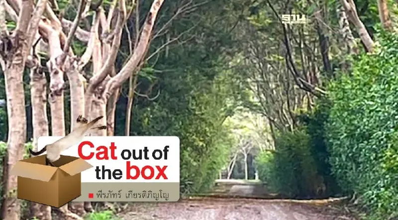 สัตว์ป่าน่ารักที่บ้านเขาใหญ่