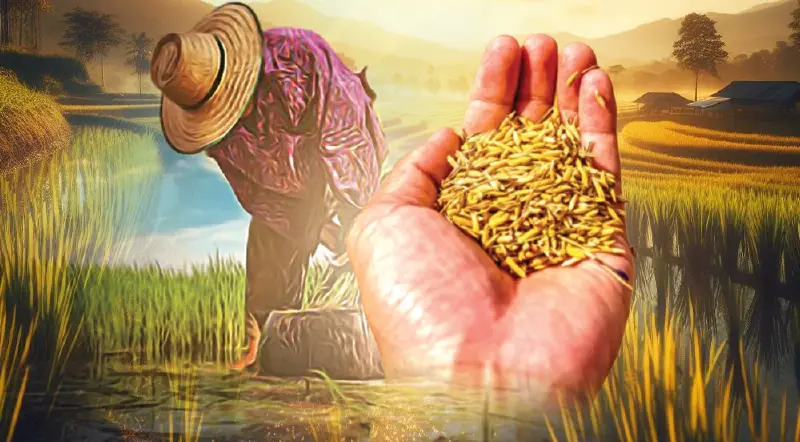 ชาวนาเฮ ตลาดใน-นอกต้องการข้าวเพิ่ม ห่วงข้าวอินทรีย์ตกขบวน “ปุ๋ยคนละครึ่ง”