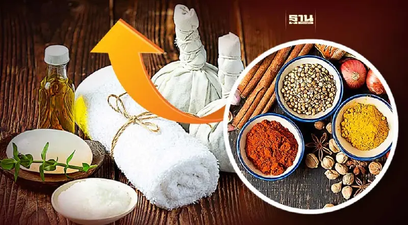 สธ.ดัน "นวดไทย-สมุนไพรไทย" เป็นซอฟต์พาวเวอร์ ยกระดับท่องเที่ยวเชิงสุขภาพ