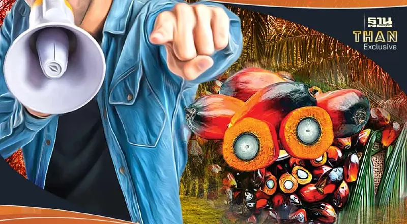 ชาวสวนปาล์ม ร้อง อธิบดีกรมการค้าภายใน เร่งตรวจสอบราคารับซื้อปาล์ม