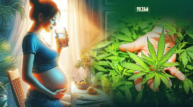 ผลวิจัย "สารนิโคติน-กัญชา" อันตรายต่อหญิงตั้งครรภ์