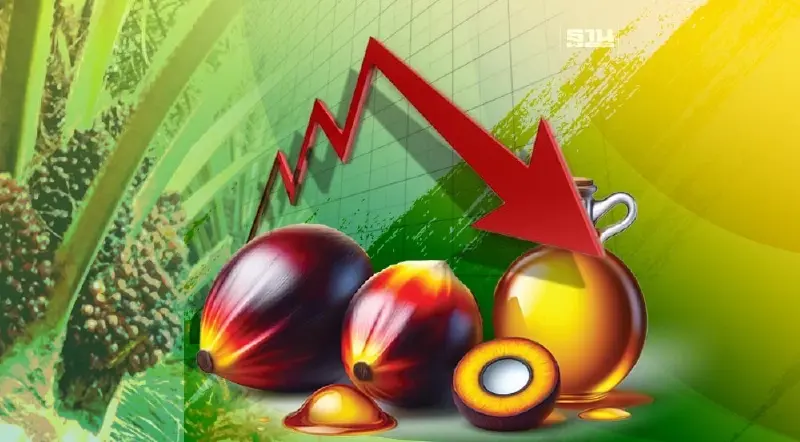 นโยบายไบโอดีเซลทุบราคาปาล์มดิ่ง โรงงานป่วน-ตลาด 7 หมื่นล้านระส่ำ