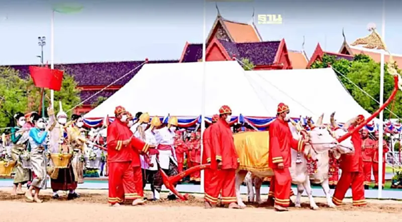 พืชมงคล 2567 พระโคกิน น้ำ หญ้า เหล้า น้ำบริบูรณ์ เศรษฐกิจรุ่งเรือง พืชมงคล 2567 พระโคกิน น้ำ หญ้า เหล้า น้ำบริบูรณ์ เศรษฐกิจรุ่งเรือง