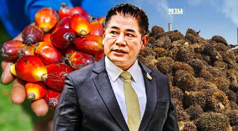“ธรรมนัส”สั่งแก้ปัญหาราคาปาล์มตกต่ำ ลงพื้นที่สุราษฎร์ธานี 29 พ.ค.นี้ “ธรรมนัส”สั่งแก้ปัญหาราคาปาล์มตกต่ำ ลงพื้นที่สุราษฎร์ธานี 29 พ.ค.นี้