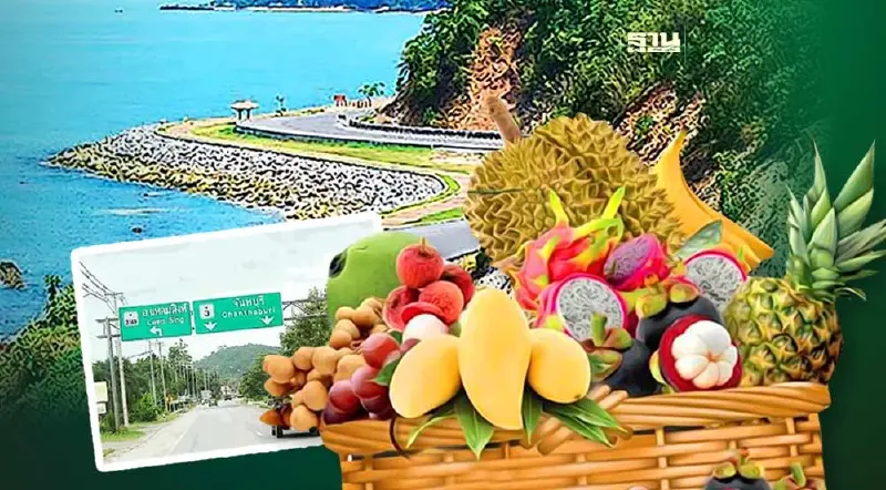 เปิดฤดูกาลสวนผลไม้จันทบุรี 2567 ททท.ชวนเที่ยว 14 สวนผลไม้