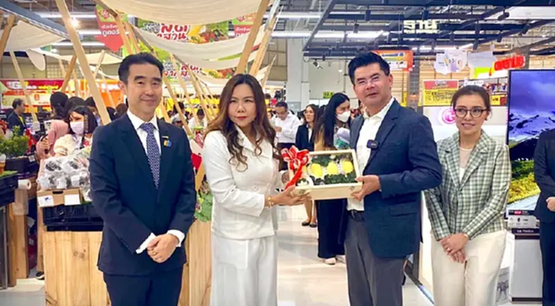 บุฟเฟ่ต์ทุเรียน “บิ๊กซี” คัมแบ็ค อิ่มไม่อั้น 10 สาขา บุฟเฟ่ต์ทุเรียน “บิ๊กซี” คัมแบ็ค อิ่มไม่อั้น 10 สาขา