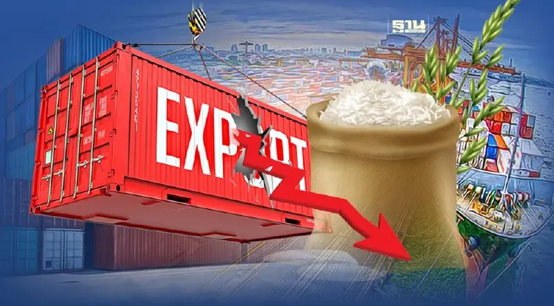 ผู้ค้าข้าวโอด ขาดทุนยับบาทผันผวนจี้รัฐรับมืออินเดียคัมแบ็กส่งออกข้าว