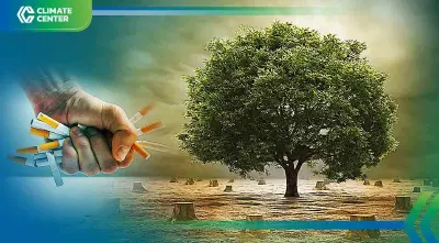 ต้นไม้กว่า 600 ล้านต้นถูกโค่นลงทุกปีเพราะ 'บุหรี่' ภัยต่อชีวิต-สิ่งแวดล้อม