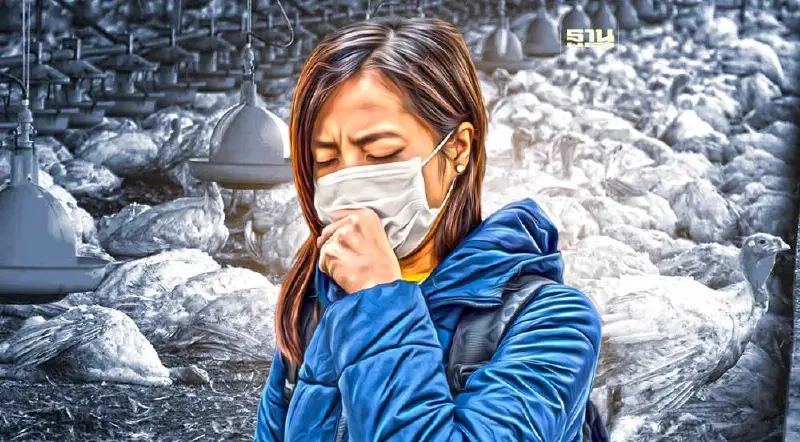 โรคไข้หวัดนก เช็คสาเหตุ อาการและการป้องกัน